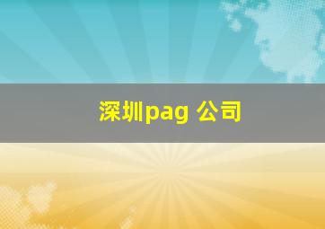 深圳pag 公司